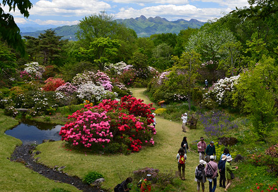 自然 園 赤城 赤城自然園