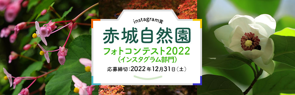 instagram賞 赤城自然園 フォトコンテスト2022（インスタグラム部門） 応募締切：2022年12月31日（土）