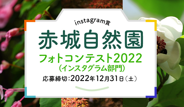 instagram賞 赤城自然園 フォトコンテスト2022（インスタグラム部門） 応募締切：2022年12月31日（土）