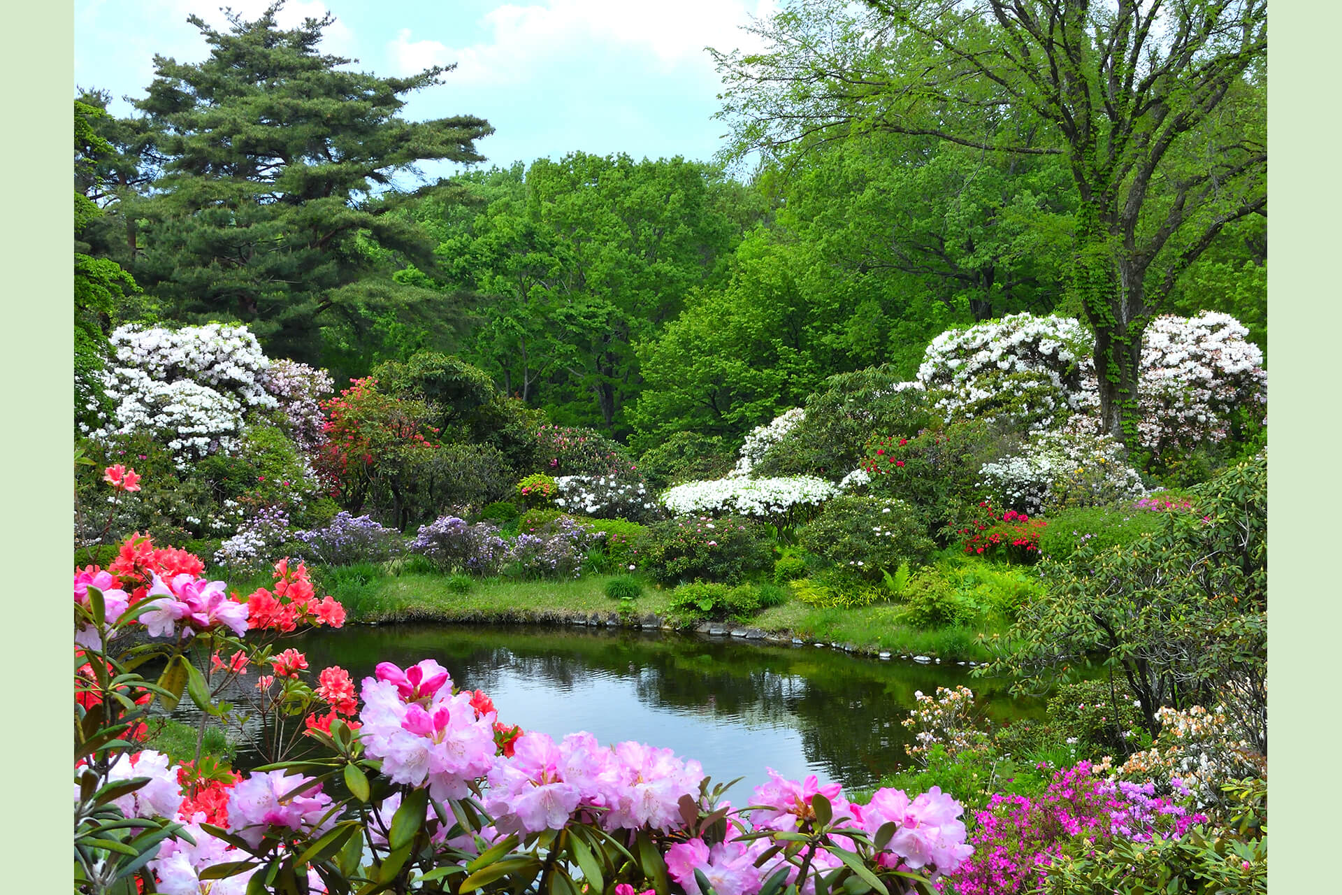 ホーム 赤城自然園